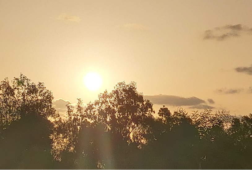 Read more about the article מה זה מיינדפולנס ואיך מתרגלים